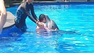 Bali Dolphin interaction