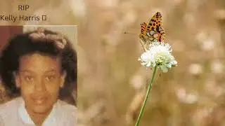 The case of Kelly Harris