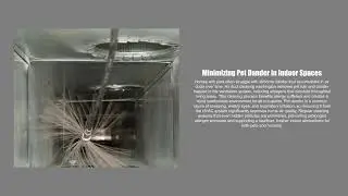 Clean Air DC - Air Duct Cleaning Washington Reduces Allergens Indoors