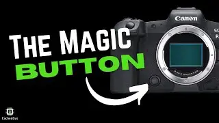 Canon R6 Magic Button! Depth of Field Preview