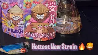 I Tried The Most Exclusive 1/8th of 2025!|BraveFarmers Sakuramochi !