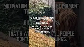 Motivation Won&rsquo;t Save You
