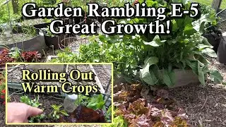Plant Spacing, Warm Crop Planning, My New Book, Basil Tips: Garden Ramblings Tips & Tour E-5