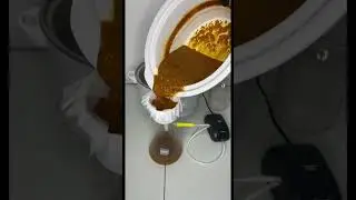 Freeze drying Medicinal Mushroom Tea #shorts #shortvideo #extraction #tea #mushrooms #diy #hobby