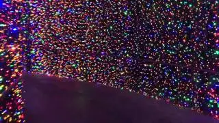 Zoo lights Portland матрица
