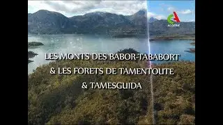 Les monts des Babors-Tababort et les f&ocirc;retes de Tamentoute et de Tamesguida