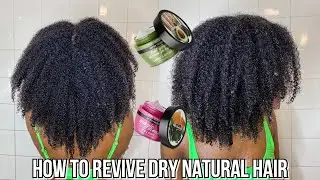 I USED 2 DEEP CONDITIONERS AT ONCE | Aunt Jackie's Butter Fusions Review