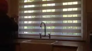 Duo roller blind
