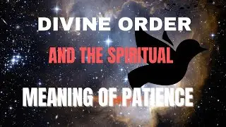 Divine Order and the Spiritual Meaning of Patience. Patience protects destiny.