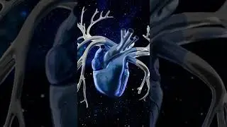 Stylized Heart Animation
