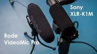 Sony XLR-K1M vs Rode VideoMic Pro