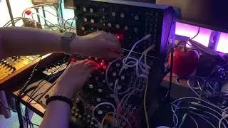 Trinity - Moog sound studio live modular performance | DFAM, SUBHARMONICON, MOTHER-32
