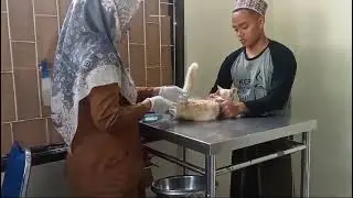 Video Vlog Puskeswan Pandeglang Senin 22 Juli 2024