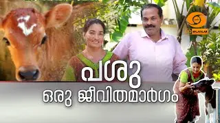 പശു ഒരു ജീവിത മാർഗം || DD MALAYALAM || KRISHIDARSHAN || #ddmalayalam #krishitips #krishidarshan