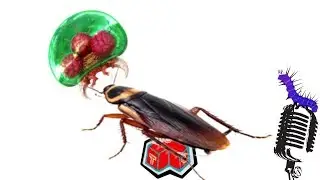 L's and Roaches (A Gamers passion for outdoor Life in Nature)