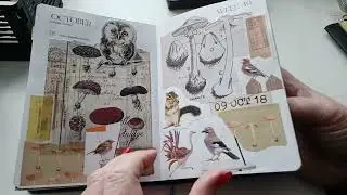Flipthrough Journal bekijken 10 december 2025