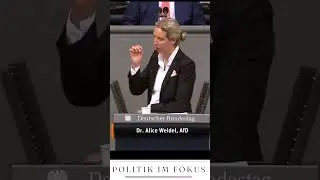 💥🗯️ AfD's Alice Weidel TEILT aus: Offene Grenzen und illegale Einwanderung? 🚫🏞️