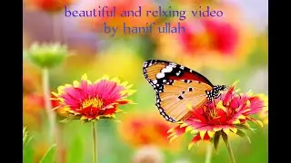 Beautiful Relaxing Music, and beatiful video,and in tha bards 