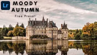 Moody Autumn Preset - Lightroom Mobile Preset - Fall Preset