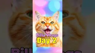 Billa Vlogs Day 2 🐟 | Caught Playing with Headphones Again! 😹 | Cute Cat Vlog