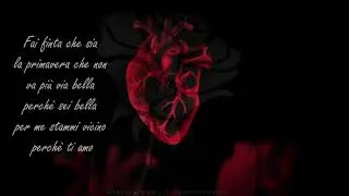 Stefano Picchi - Fai finta che sia (Lyric Video)