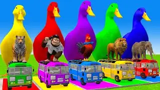 5 Giant Duck Cartoon,Cow,Mammoth,Dog,T-Rex,Lion,Tiger Paint Wild Animals Crossing Fountain Animation