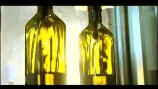 Olivares de Quepu  S.A. (English)