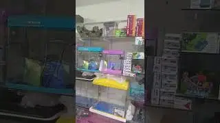 fish aquarium shop in Ahmedabad paldi fishaquriuamsaleinahmdaba#