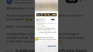20M Pi Bought by Whales! 🔥 Is Pi About to Explode Like Bitcoin?