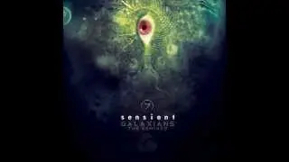 Sensient-Galaxians(Kromagon Rmx)
