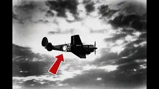 The Pilot Who Returned Without a Wing