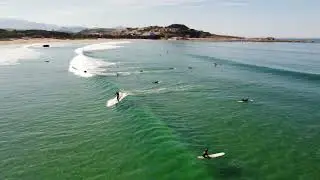The Green Sea