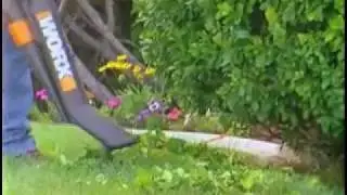 WG500.mov