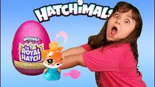 Hatchimals Hatching | Colleggtibles The Royal Hatch | Season 6