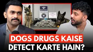 Dogs Drugs Kaise Detect Karte Hain? || Real Talk Short