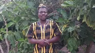 Divination is the key for prosperity #African spirituality #health