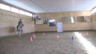 Joy of a clicker trained horse
