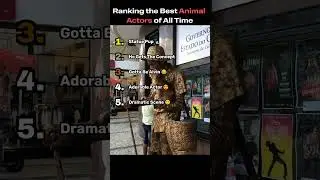 Ranking the Best Animal Actors of All Time 🎭🐾