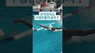 수영인들의 성지!   #수영 #수영장 #잠원한강수영장 #실전수영