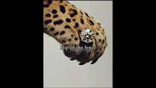 Gold on me like im - kate slater - lyrics without music مترجمة بدون موسيقى
