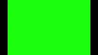 1 hour of a green screen with a cat in it