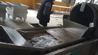 Rotary drum washer machine for ginger,carrot,potato,fruits,bagged foods