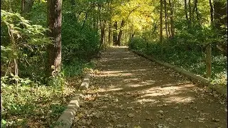 Madeira High School students create Good Natured to replenish Cincinnati's trees