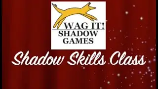 Wag It Games Shadow Skills Class