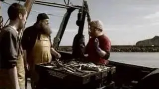 Riktigt skägg. Riktig öl. Falcon (långversion).