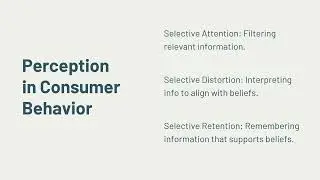 Consumer Perceptions, Emotions and Memory