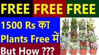How to get free plants online | nurserylive shopping Free Loot | Free Loot | Free Plant Online