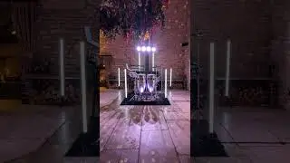 DJ Percussion 🤩🎧🪘   #djpercussion #weddingentertainment #percussion