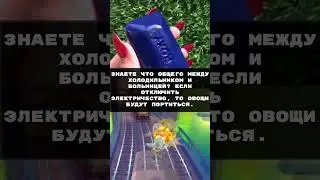 «Схожесть» - Анекдот | #shorts #приколы #юмор #tiktok #tiktokviral #viral #subscribe #funny