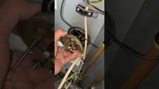 Hot water tank change Tesla immersion heater element